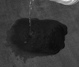 AquaZacht – Superabsorbierende Badematte aus Korallenvelours