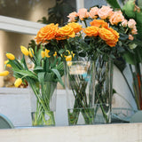 AquaClear Große Transparente Zylindervase