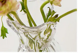 CrystalBloom Unregelmäßige Transparente Glasvase